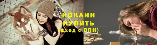 mdpv Осташков