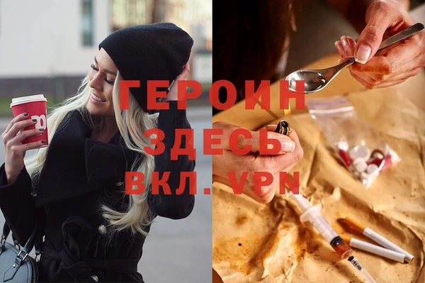прущие грибы Гатчина
