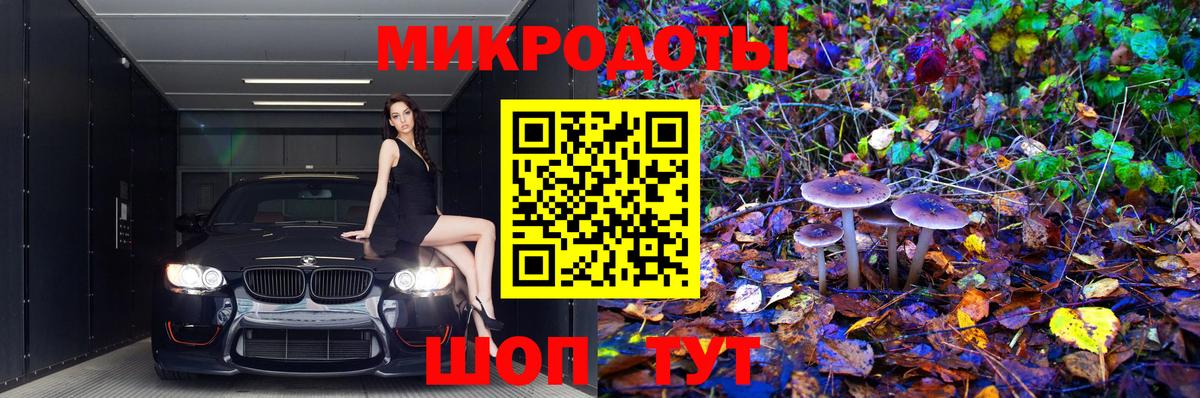 Псилоцибиновые грибы Psilocybine cubensis  Тосно  Галлюциногенные грибы мухоморы 