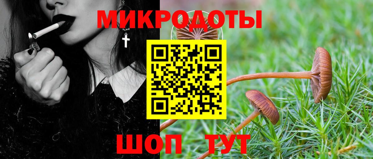 Галлюциногенные грибы Psilocybe Тосно
